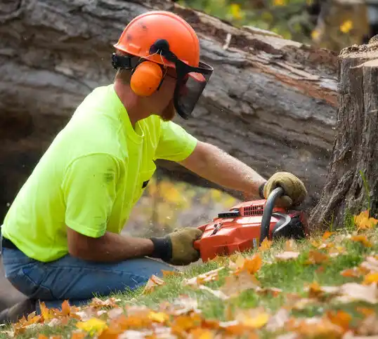 tree services Portage Lakes